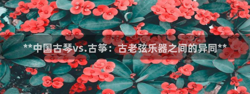 凯发旗舰网站