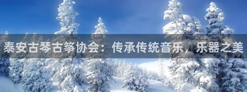 凯发国际是什么