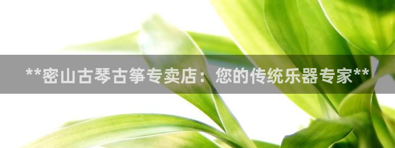 凯发国际是什么投资平台