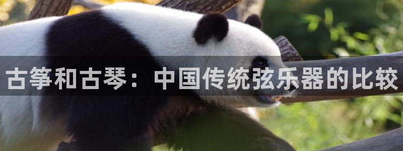 凯发官网地址