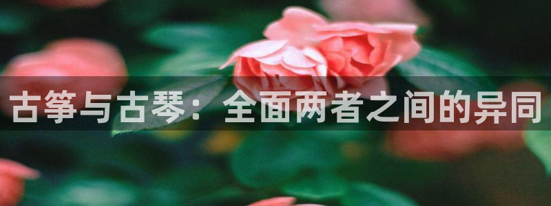 l凯发国际官网