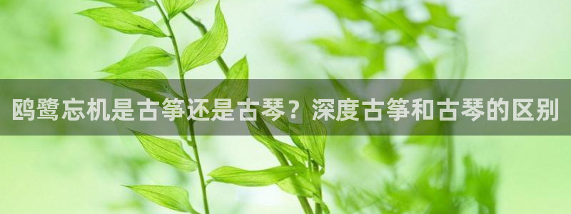 凯发k8娱乐旗舰app下载
