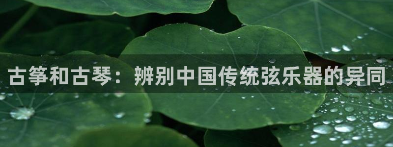 凯发网网站