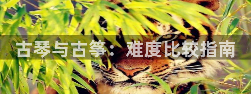 凯发手机官网