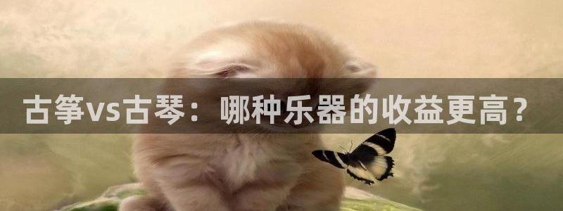 凯发网娱乐官网国际