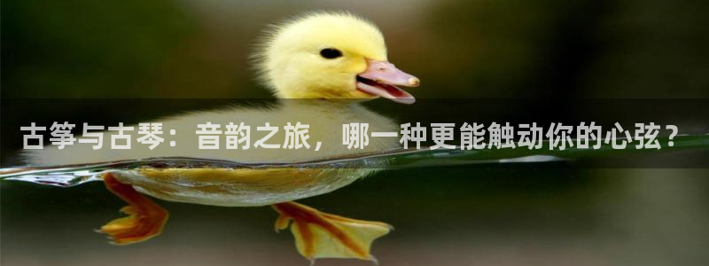 凯发k8娱乐官网手机端中心
