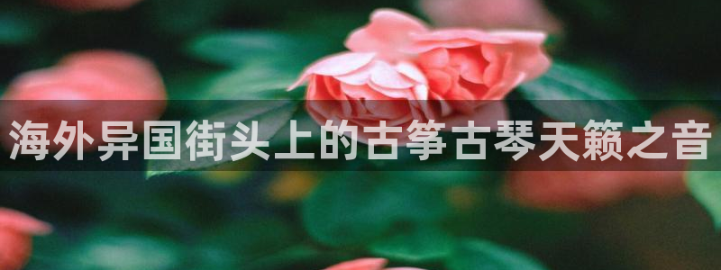 凯发国际是什么投资平台