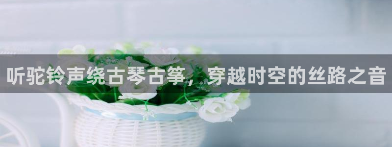 凯发app地址