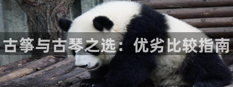凯发k8娱乐官网最新版本