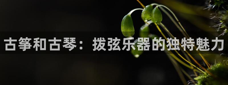 凯发k8娱乐真人旗舰厅客服