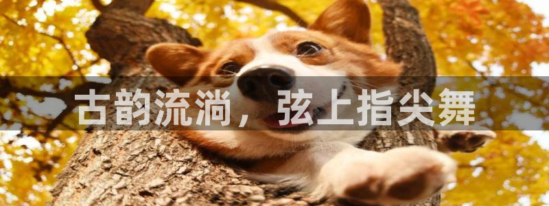 凯发官网登录免费下载