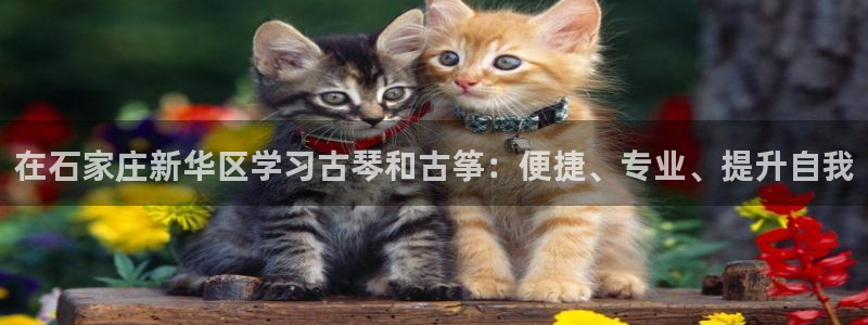 凯发在线官网登录下载