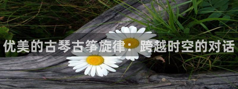 凯发网娱乐官网国际