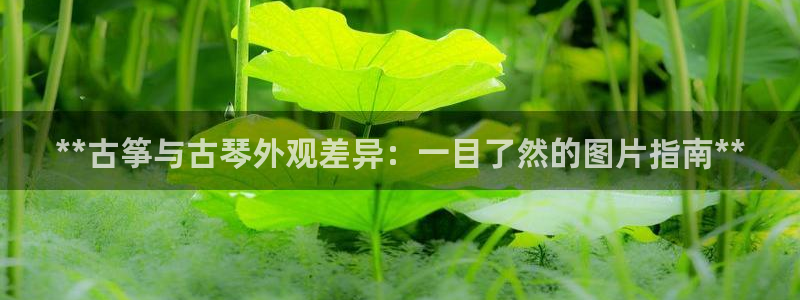凯发网址登录