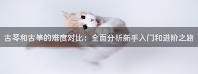 凯发k8娱乐网址多少