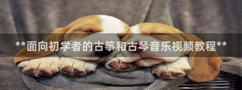 凯发国际网站首页