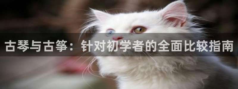 凯发注册app在线