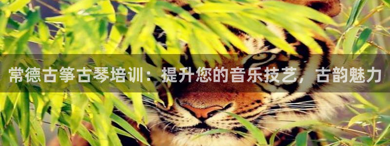凯发k8国际真人娱乐旗舰厅