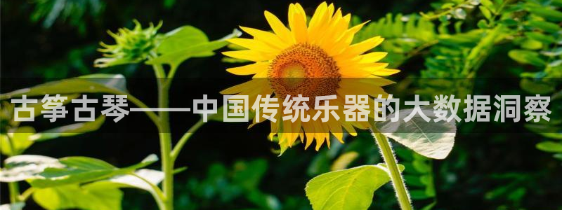 凯发国际平台app