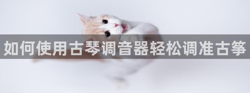 凯发旗舰平台