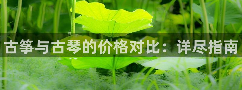 凯发k8娱乐官网旗舰厅