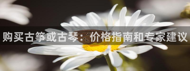 凯发k8娱乐旗舰厅