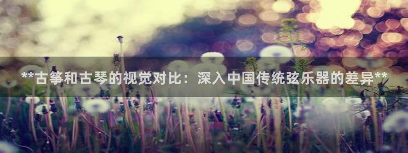 凯发娱网址是什么