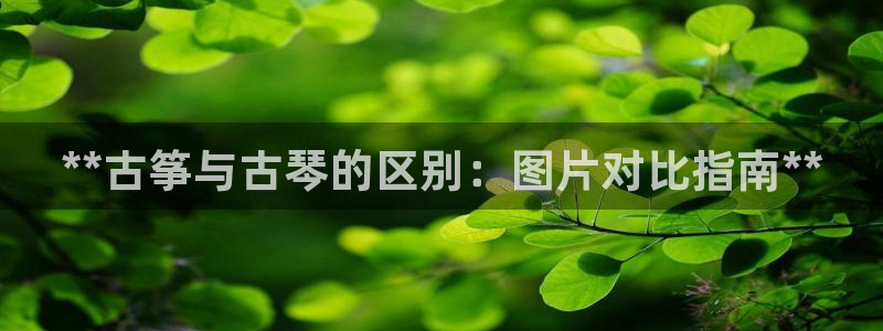凯发k8国际真人娱乐手机app