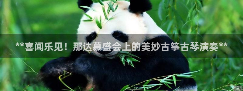 凯发唯一官方网站