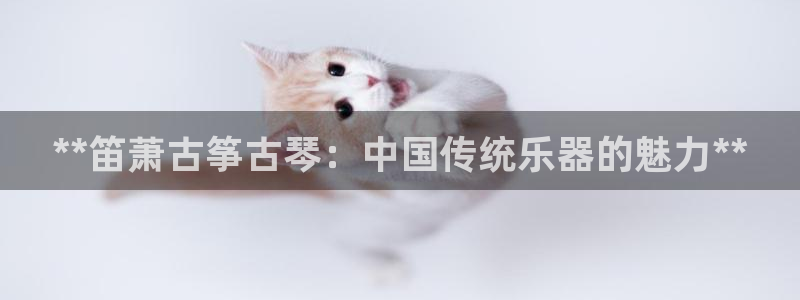 凯发k8ag旗舰厅网址