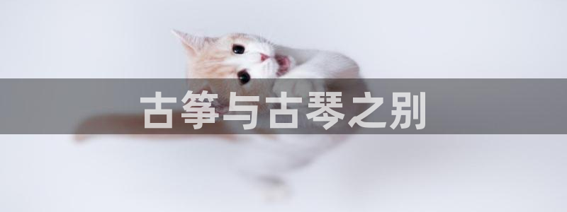凯发是正规平台吗