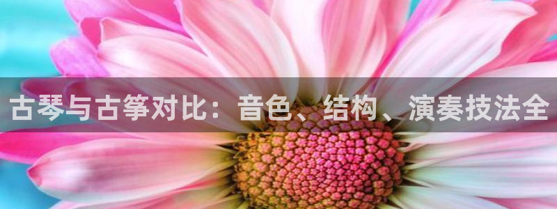 凯发网官网