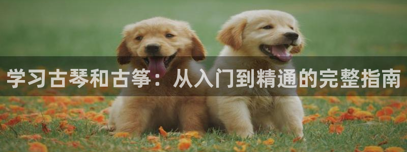 凯发官网网址多少