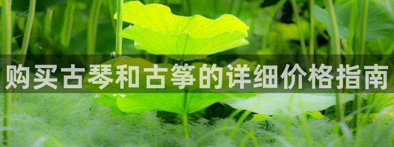 凯发k8国际|首页w来就送38元