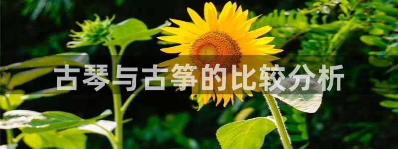 凯发国际是什么投资平台