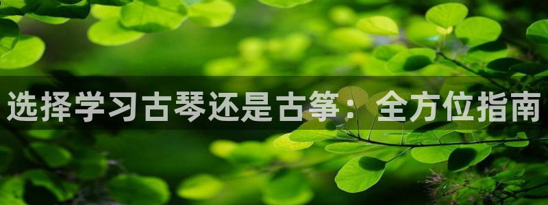 凯发官网手机app
