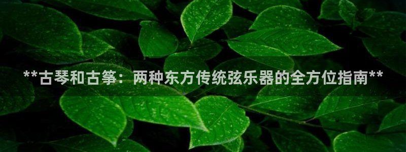 凯发k8娱乐官网网址中心