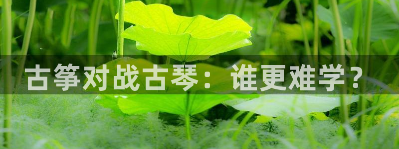 凯发官网网址多少