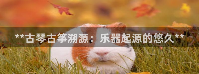 凯发k8娱乐品牌导航