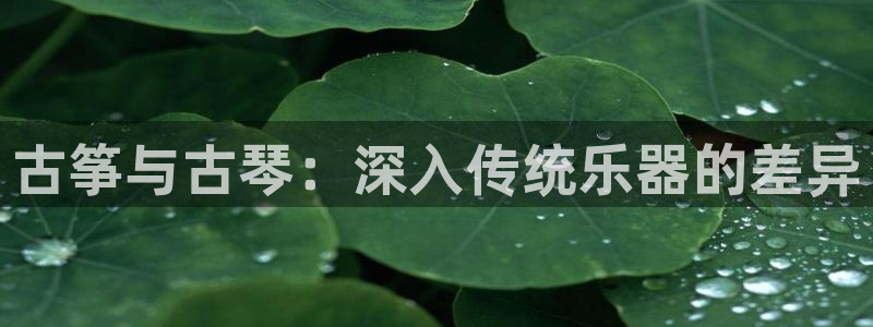 凯发k8娱乐官网最新版本