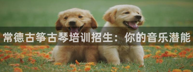 凯发国际官网下载