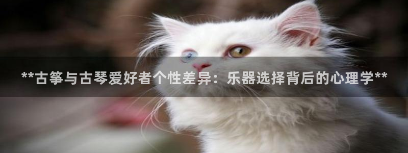 凯发k8官网下载客户端中心