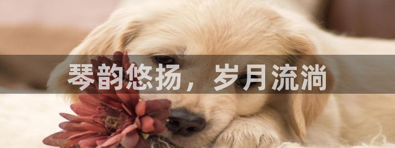 凯发k8官方网娱乐官方真