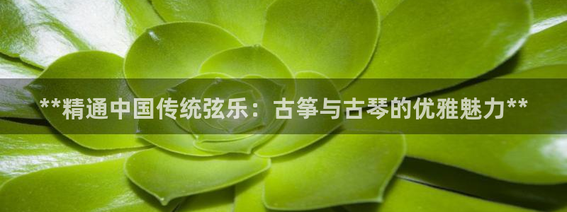 凯发正规网站