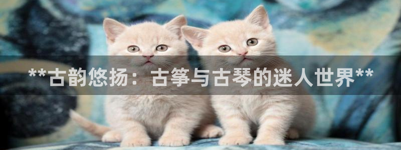 凯发国际平台