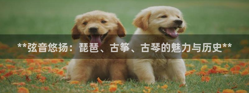 凯发官网网址多少