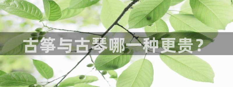 凯发k8国际真人版可靠送38元：古筝与古琴哪一种更贵？