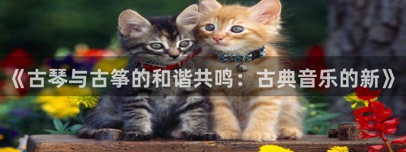 凯发k8娱乐官方下载