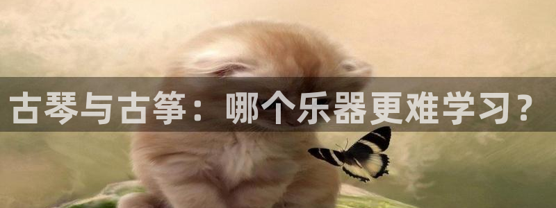 凯发k8官方网娱乐官方