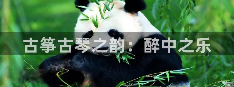 凯发旗舰厅官网